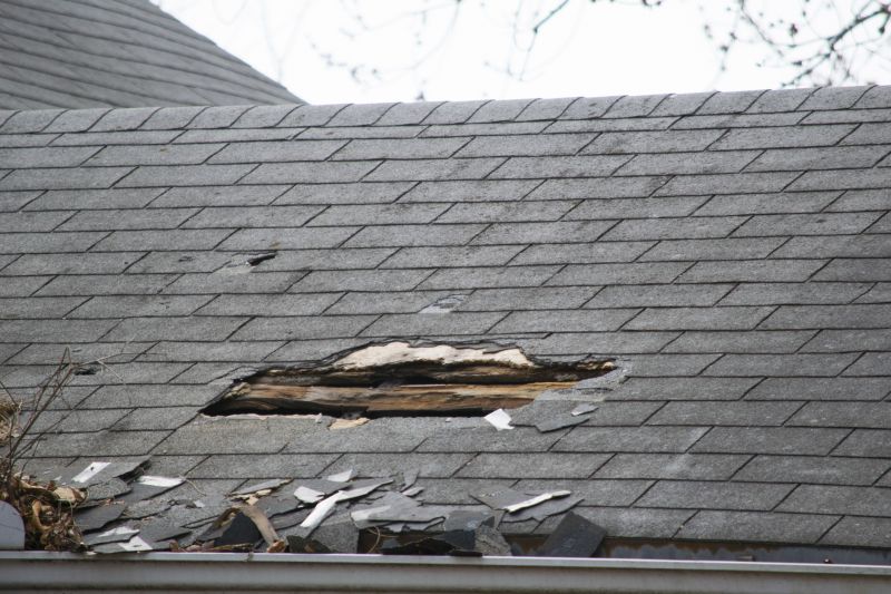 Asphalt Roof Leak Repair in Grand Blanc, MI