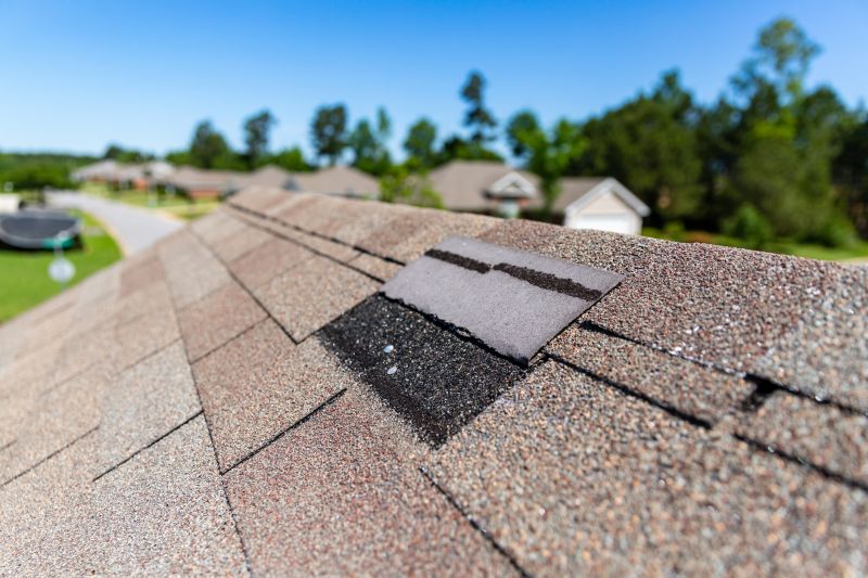 Asphalt Roof Leak Repair in Royal Oak, MI