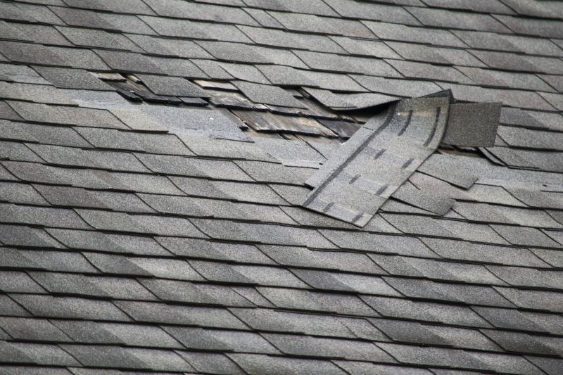 Asphalt Roof Leak Repair in West Bloomfield, MI