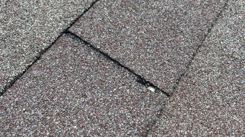 Asphalt Roof Repair in Goodrich, MI