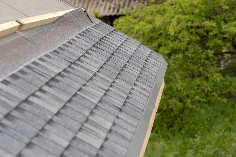 Damaged Roof Repair in Birmingham, MI