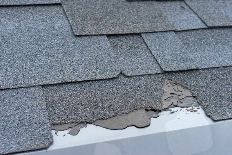 Damaged Roof Repair in Lapeer, MI