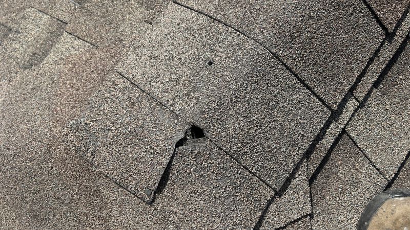 Damaged Roof Repair in Rochester, MI