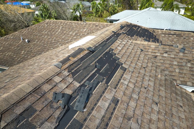 Damaged Roof Replacement in Lapeer, MI