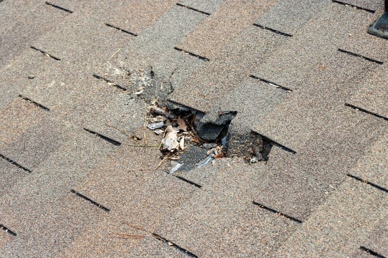 Damaged Roof Replacement in White Lake, MI