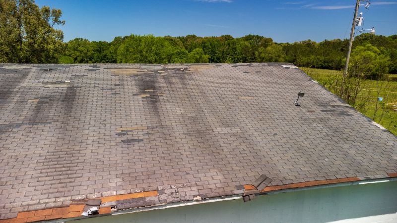 Hail Damage Roof Repair in Columbiaville, MI