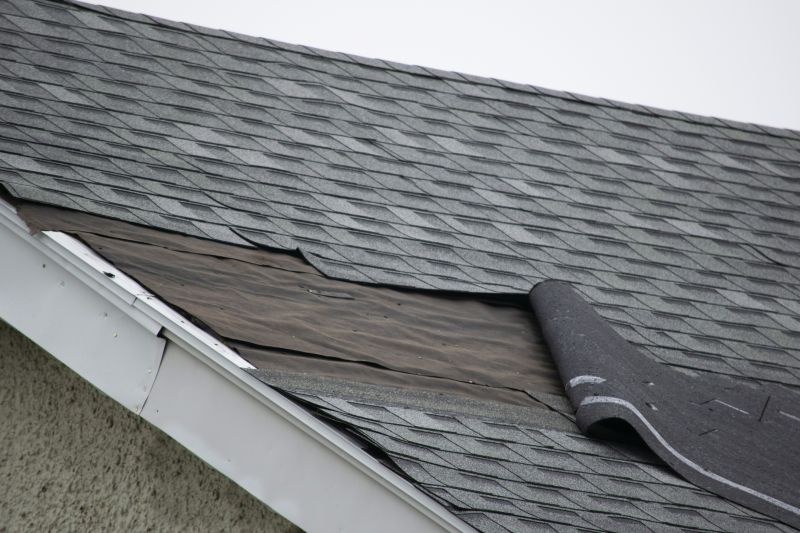 House Roof Repair in Davisburg, MI