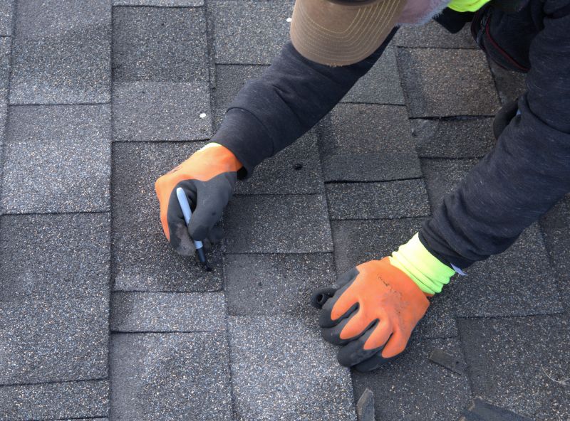 Shingles Repair in Davison, MI