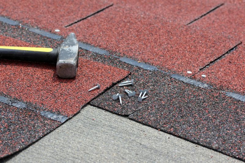 Shingles Repair in Metamora, MI