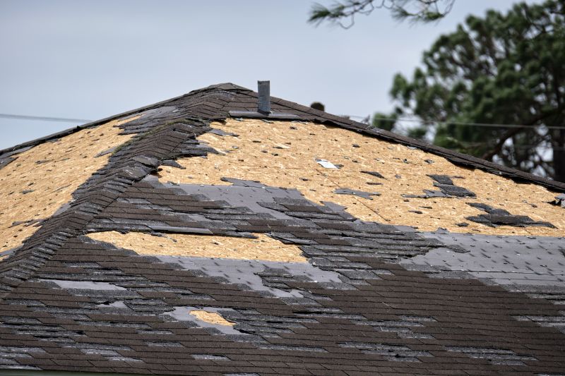 Storm Damage Roof Repair in Davison, MI